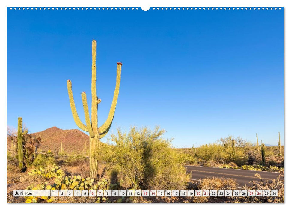 Faszination USA - Eine Reise durch Stadt und Natur (CALVENDO Wandkalender 2026)