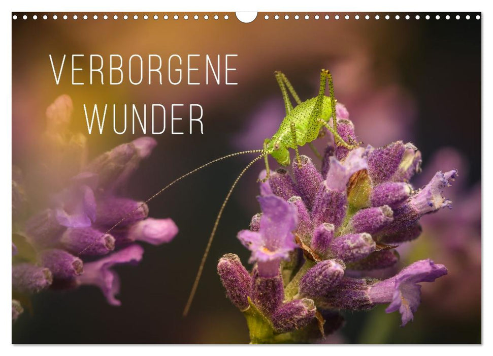Verborgene Wunder (CALVENDO Wandkalender 2026)