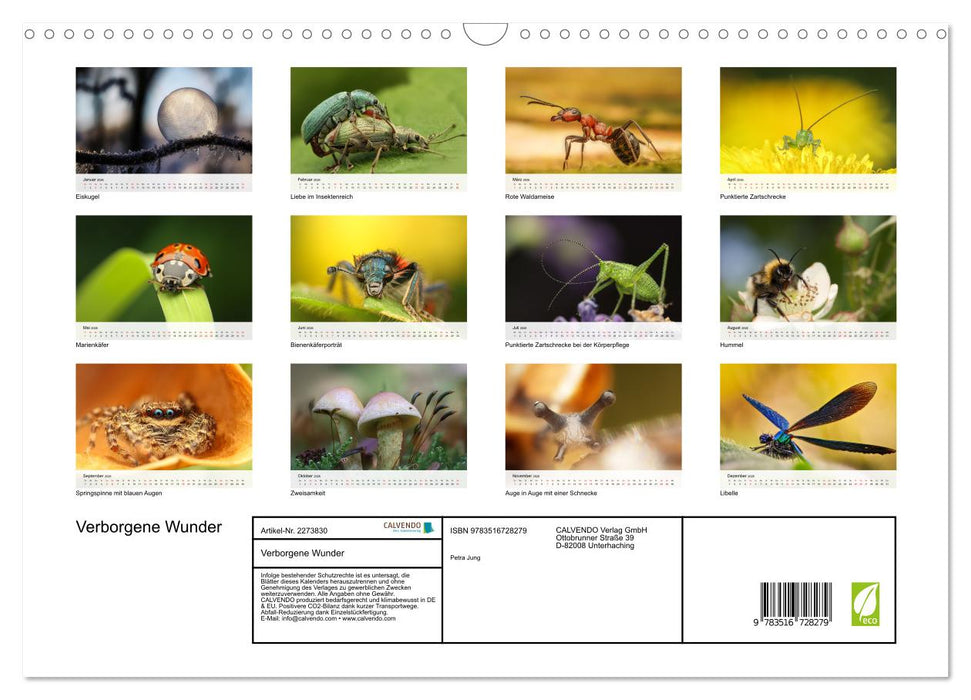Verborgene Wunder (CALVENDO Wandkalender 2026)