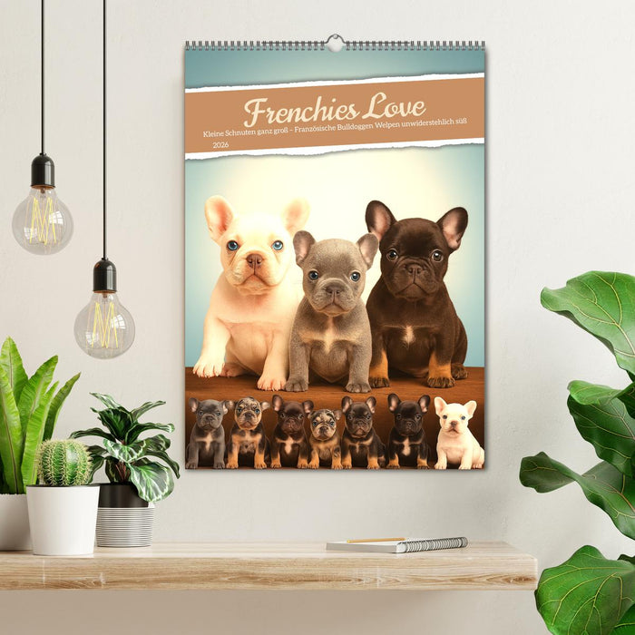 Frenchies Love – Kleine Schnuten ganz groß - Französische Bulldoggen Welpen unwiderstehlich süß (CALVENDO Wandkalender 2026)