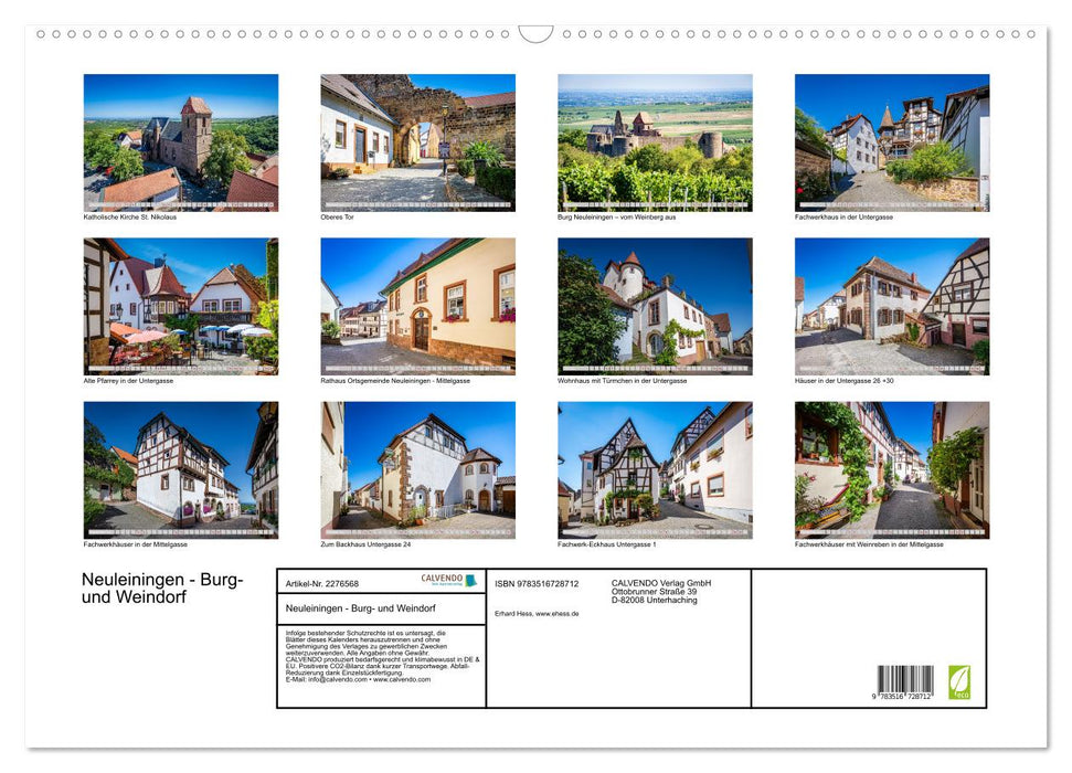 Neuleiningen - Burg- und Weindorf (CALVENDO Wandkalender 2026)