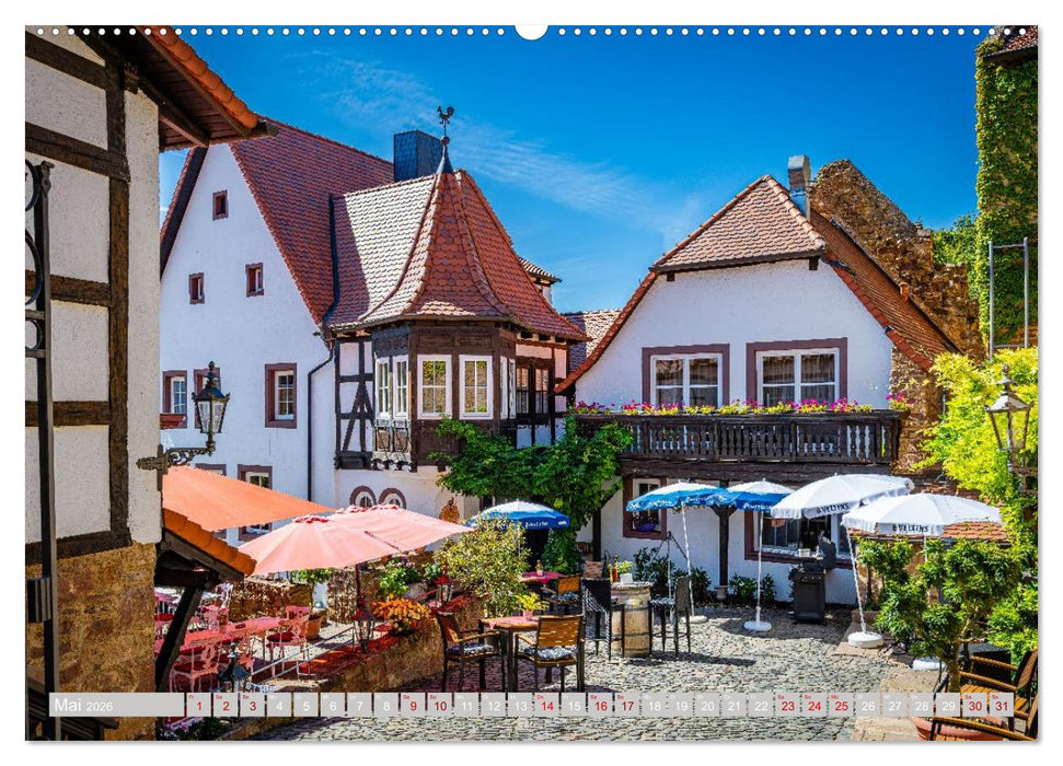 Neuleiningen - Burg- und Weindorf (CALVENDO Wandkalender 2026)