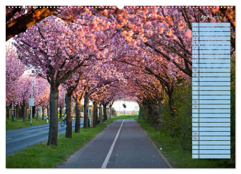 Magdeburg an der Elbe - Der Planer (CALVENDO Premium Wandkalender 2026)