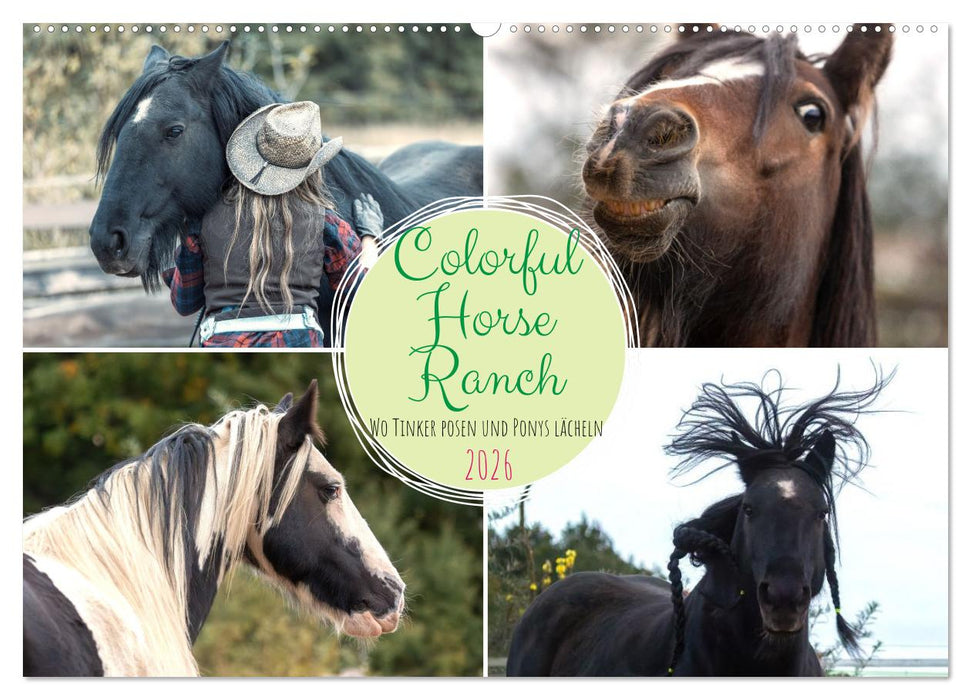 Colorful Horse Ranch – Wo Tinker posen und Ponys lächeln (CALVENDO Wandkalender 2026)