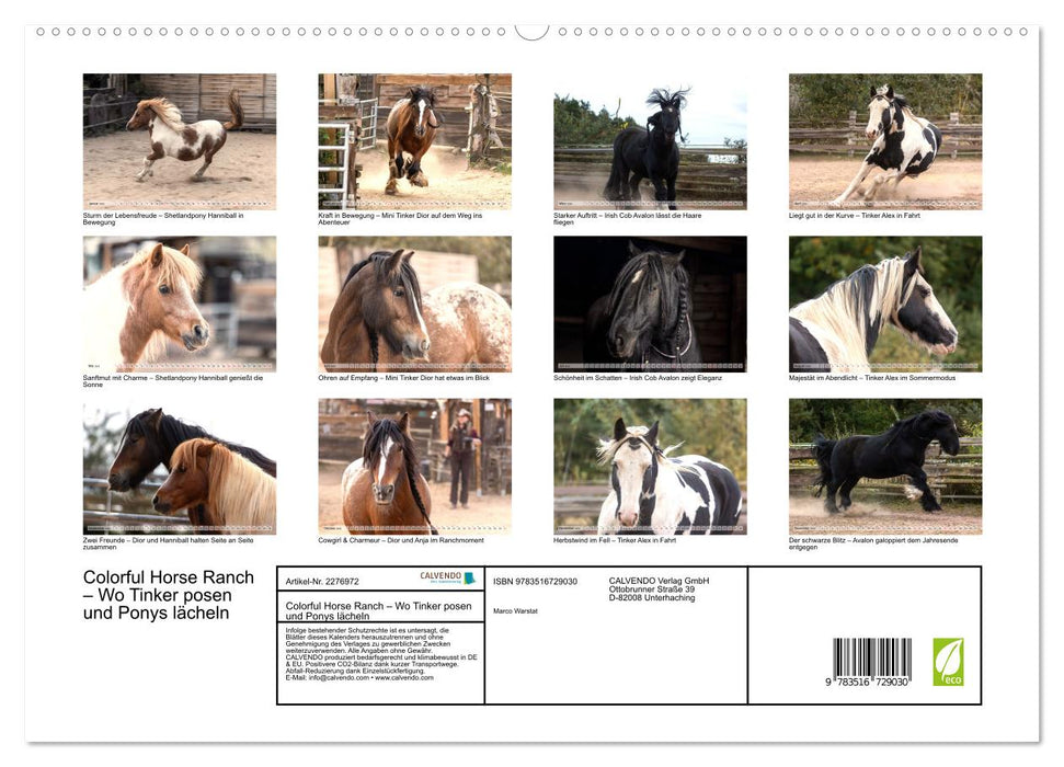 Colorful Horse Ranch – Wo Tinker posen und Ponys lächeln (CALVENDO Premium Wandkalender 2026)