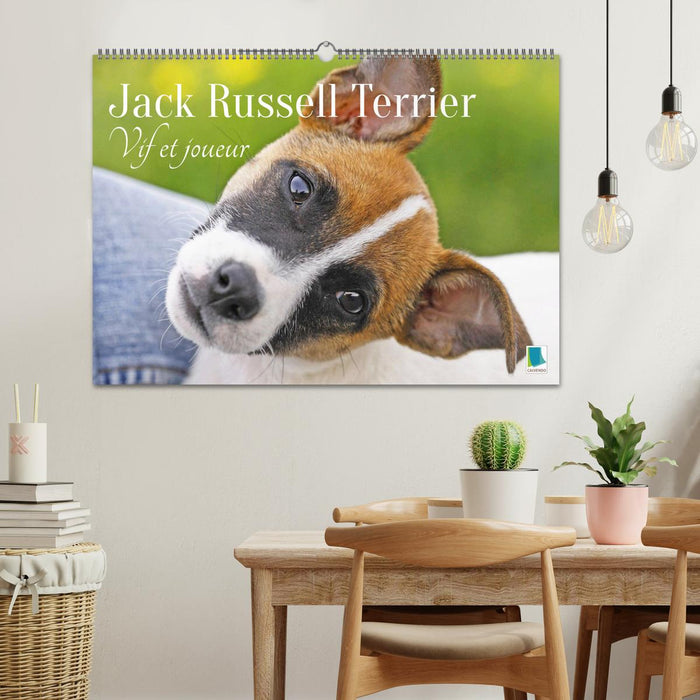 Jack Russell Terrier : vif et joueur (CALVENDO Calendrier mensuel 2026)