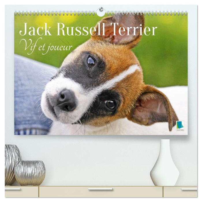 Jack Russell Terrier : vif et joueur (CALVENDO Calendrier supérieur 2026)