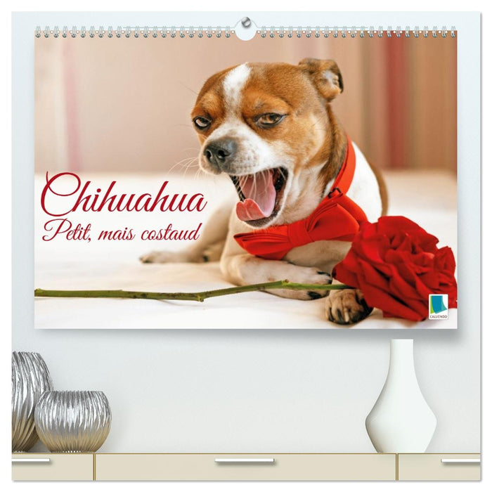 Chihuahua : petit, mais costaud (CALVENDO Calendrier supérieur 2026)