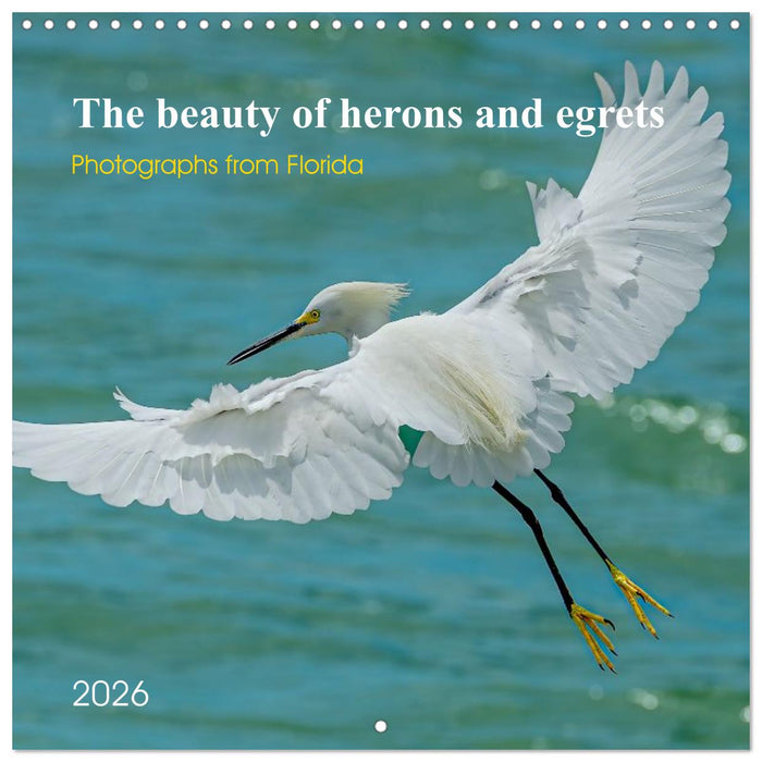 The beauty of herons and egrets (CALVENDO Monthly Calendar 2026)