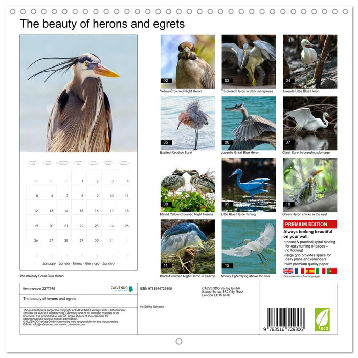 The beauty of herons and egrets (CALVENDO Monthly Calendar 2026)