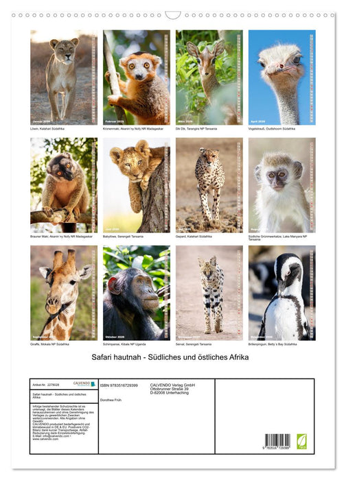Safari hautnah - Südliches und östliches Afrika (CALVENDO Wandkalender 2026)