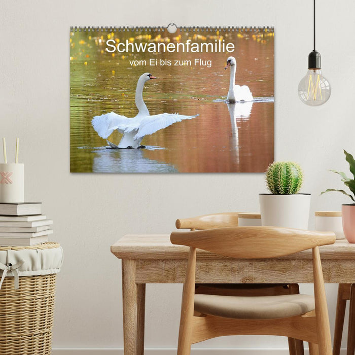 Schwanenfamilie, vom Ei bis zum Fliegen. (CALVENDO Wandkalender 2026)