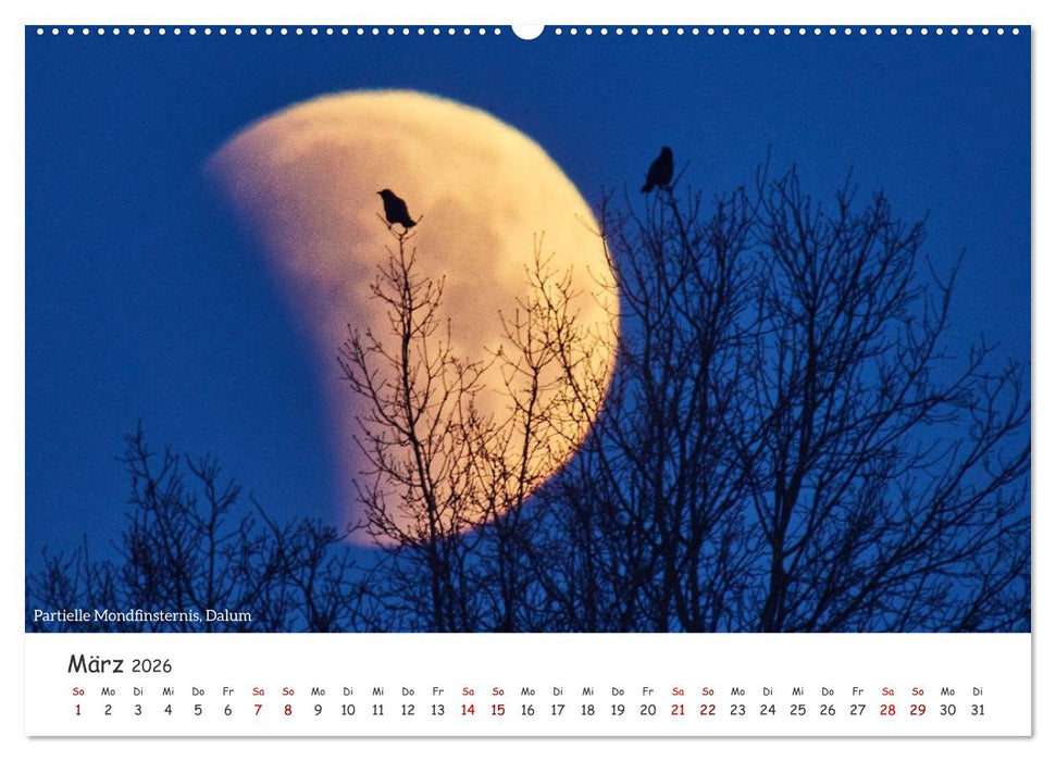 Emsland Impressionen (CALVENDO Premium Wandkalender 2026)