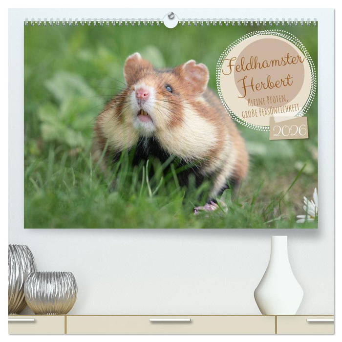 Feldhamster Herbert Kleine Pfoten, große Persönlichkeit (CALVENDO Premium Wandkalender 2026)