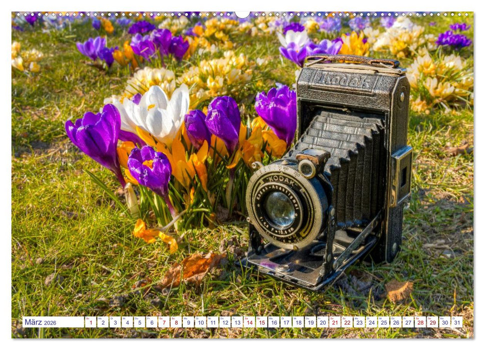 Alte Fotoapparate, Augenzeugen der Zeit (CALVENDO Premium Wandkalender 2026)