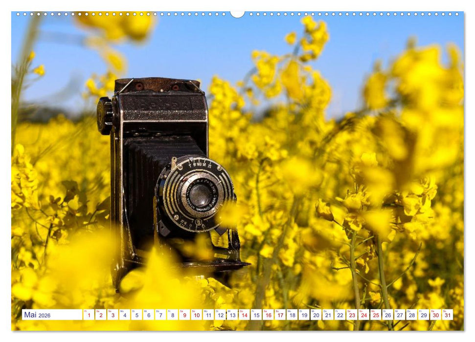 Alte Fotoapparate, Augenzeugen der Zeit (CALVENDO Premium Wandkalender 2026)