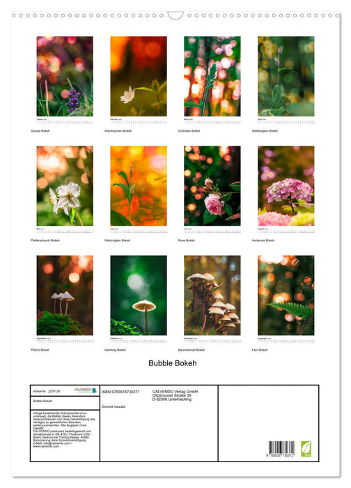 Bubble Bokeh (CALVENDO Wandkalender 2026)