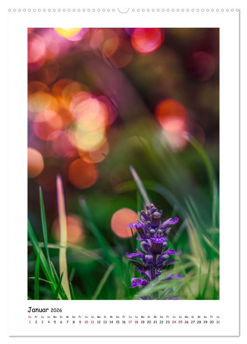 Bubble Bokeh (CALVENDO Wandkalender 2026)