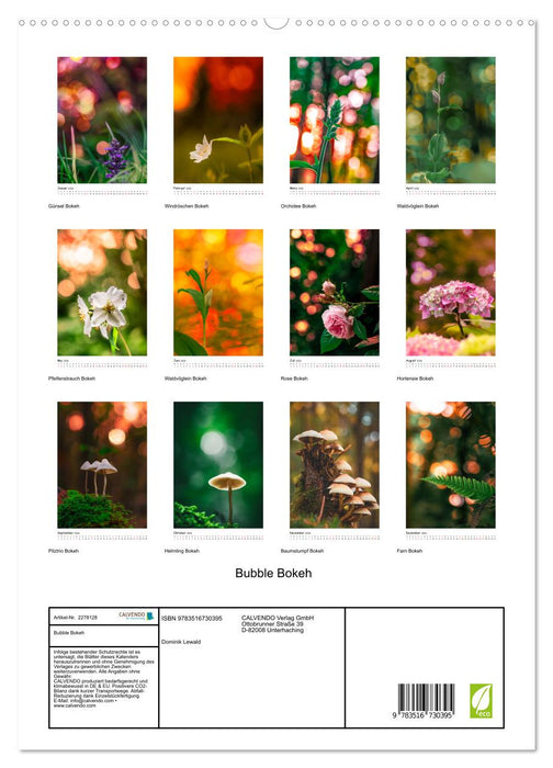 Bubble Bokeh (CALVENDO Premium Wandkalender 2026)
