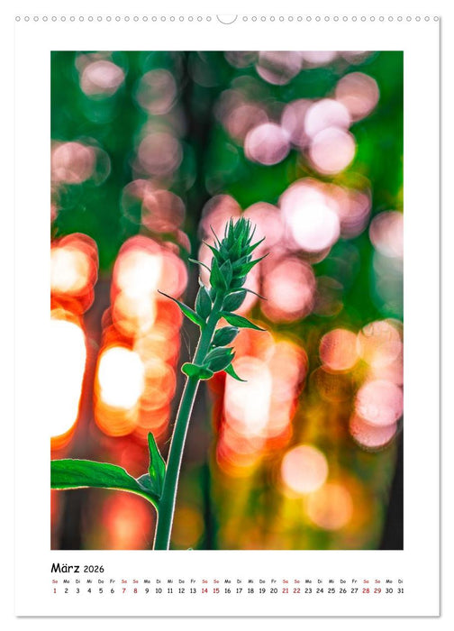 Bubble Bokeh (CALVENDO Premium Wandkalender 2026)