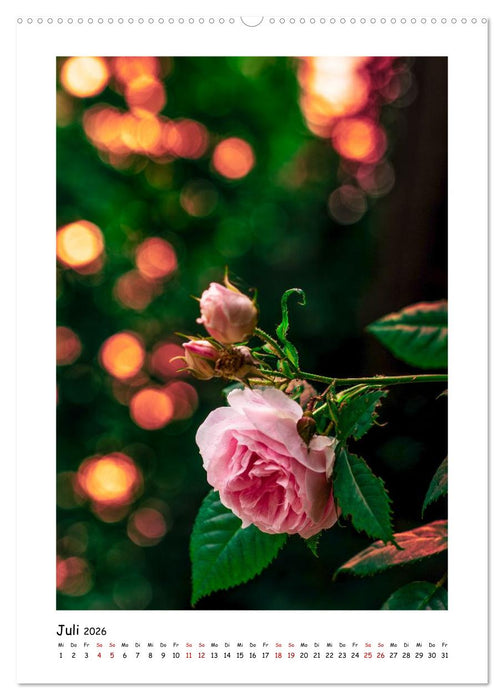 Bubble Bokeh (CALVENDO Premium Wandkalender 2026)