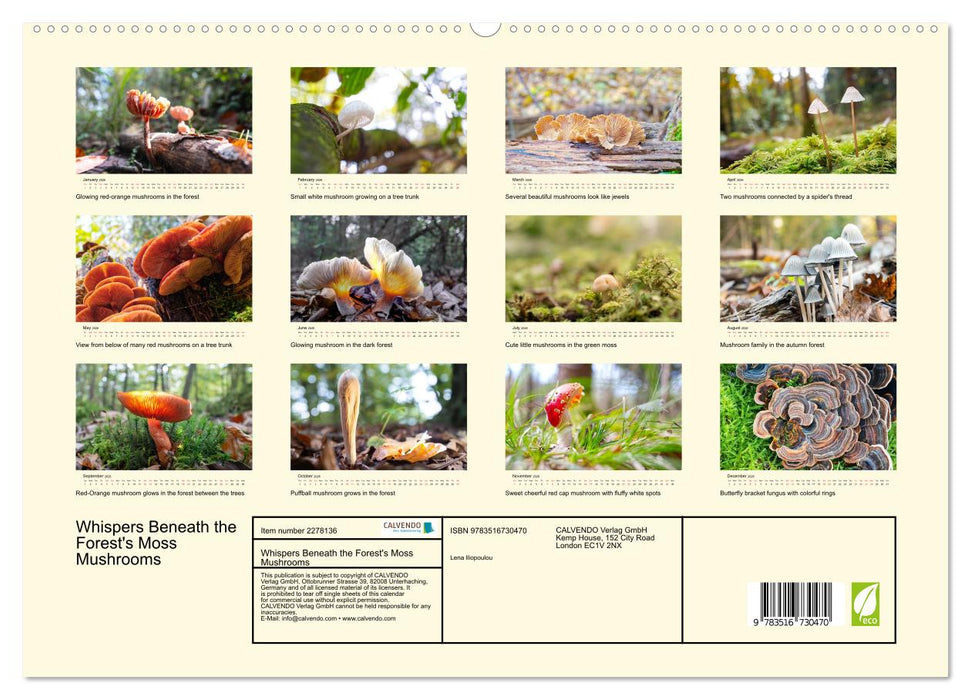 Whispers Beneath the Forest's Moss Mushrooms (CALVENDO Premium-Calendar 2026)