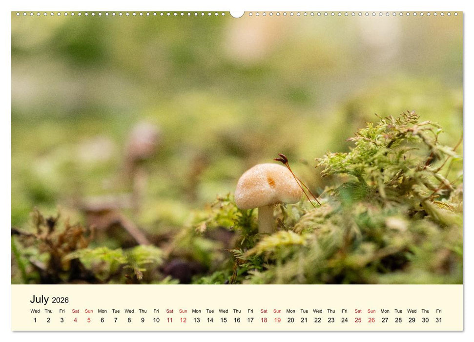 Whispers Beneath the Forest's Moss Mushrooms (CALVENDO Premium-Calendar 2026)