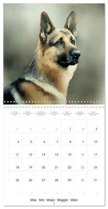 Chiens de cœur (CALVENDO Calendrier mensuel 2026)
