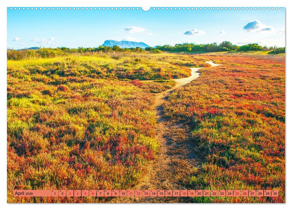 Wege für die Seele (CALVENDO Wandkalender 2026)