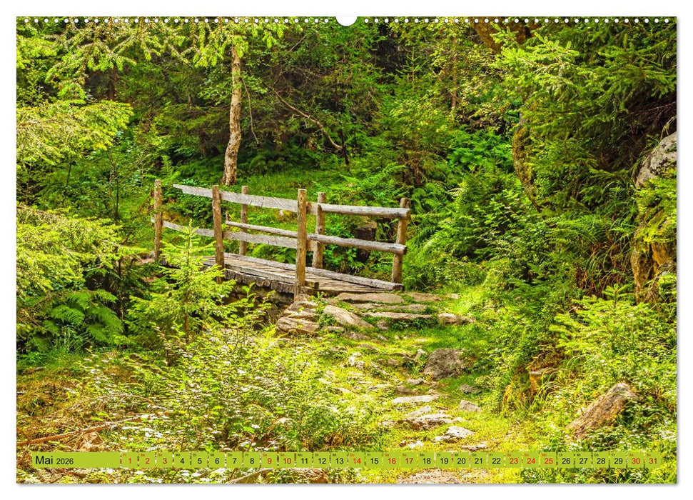 Wege für die Seele (CALVENDO Wandkalender 2026)