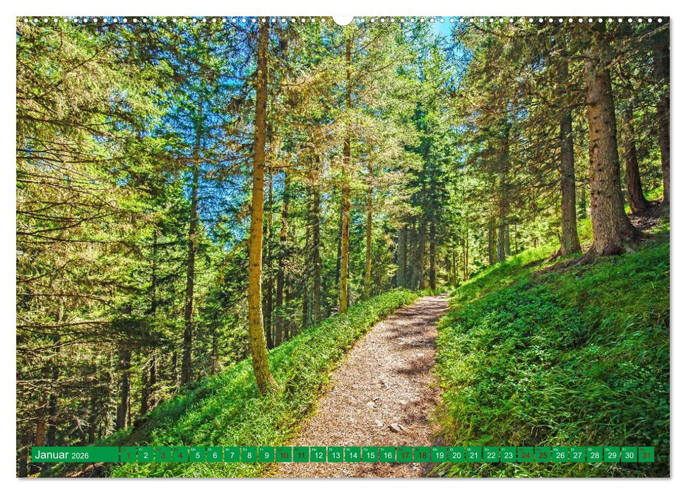 Wege für die Seele (CALVENDO Premium Wandkalender 2026)
