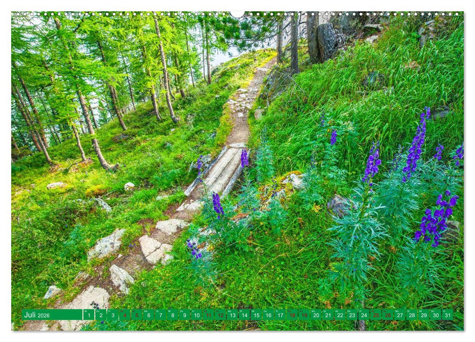 Wege für die Seele (CALVENDO Premium Wandkalender 2026)