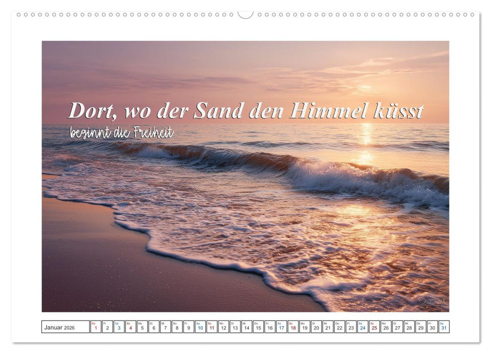 Frei wie das Meer (CALVENDO Premium Wandkalender 2026)