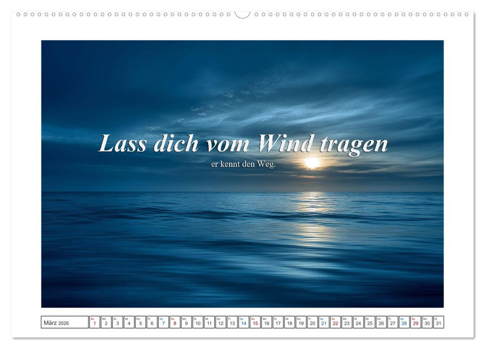 Frei wie das Meer (CALVENDO Premium Wandkalender 2026)