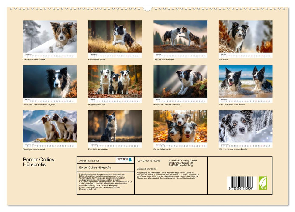 Border Collies Hüteprofis (CALVENDO Premium Wandkalender 2026)