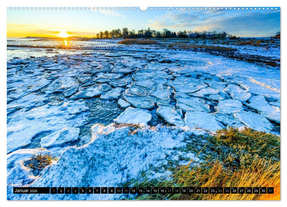 Einzigartige Strandansichten auf Amrum (CALVENDO Wandkalender 2026)