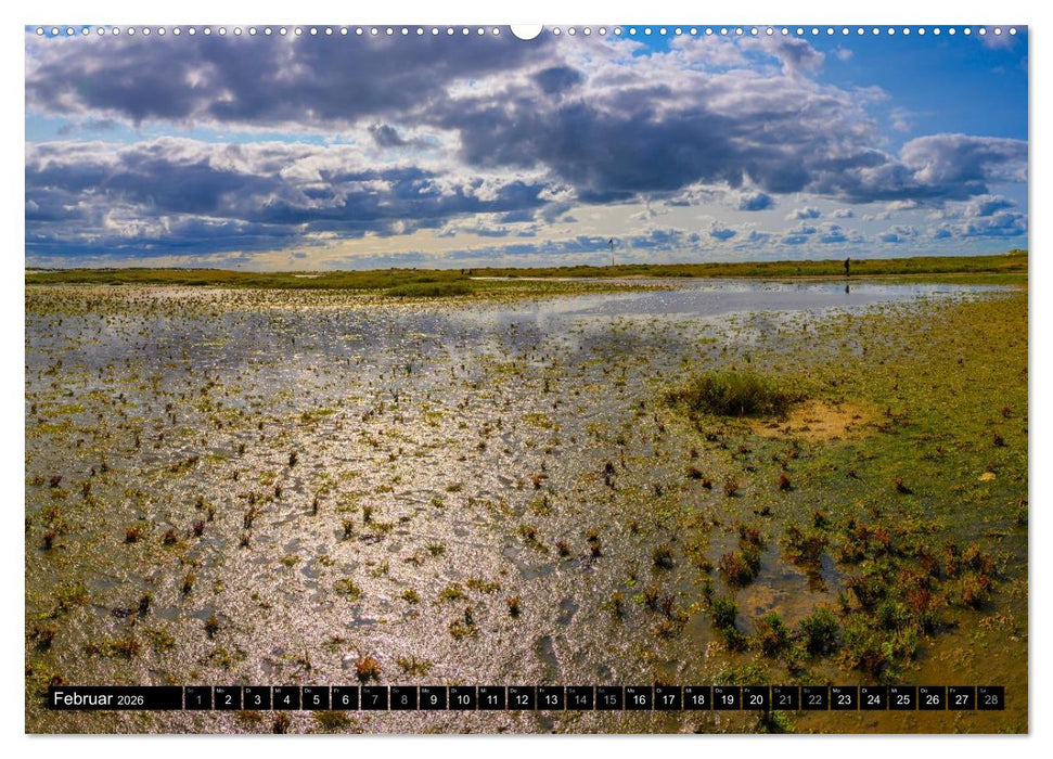 Einzigartige Strandansichten auf Amrum (CALVENDO Wandkalender 2026)