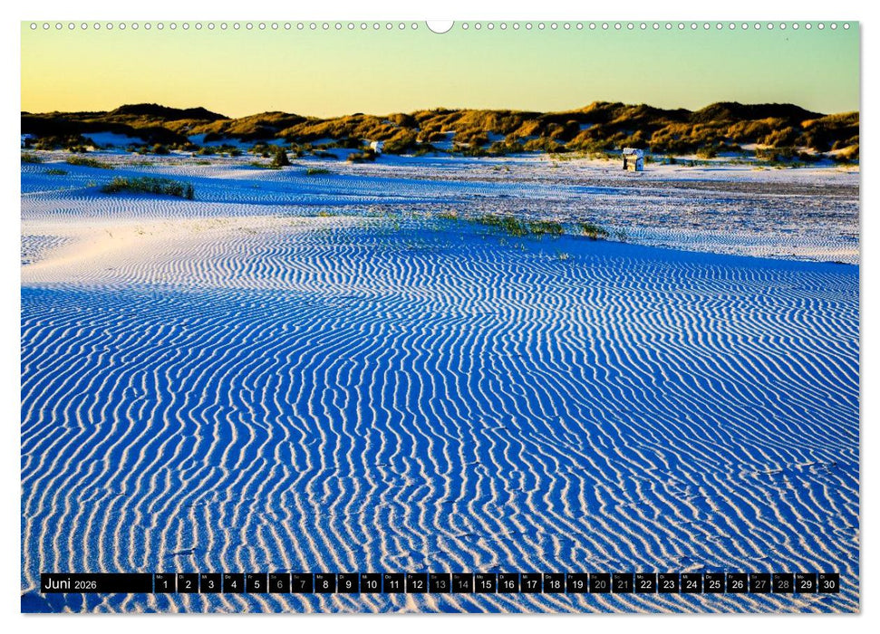 Einzigartige Strandansichten auf Amrum (CALVENDO Premium Wandkalender 2026)