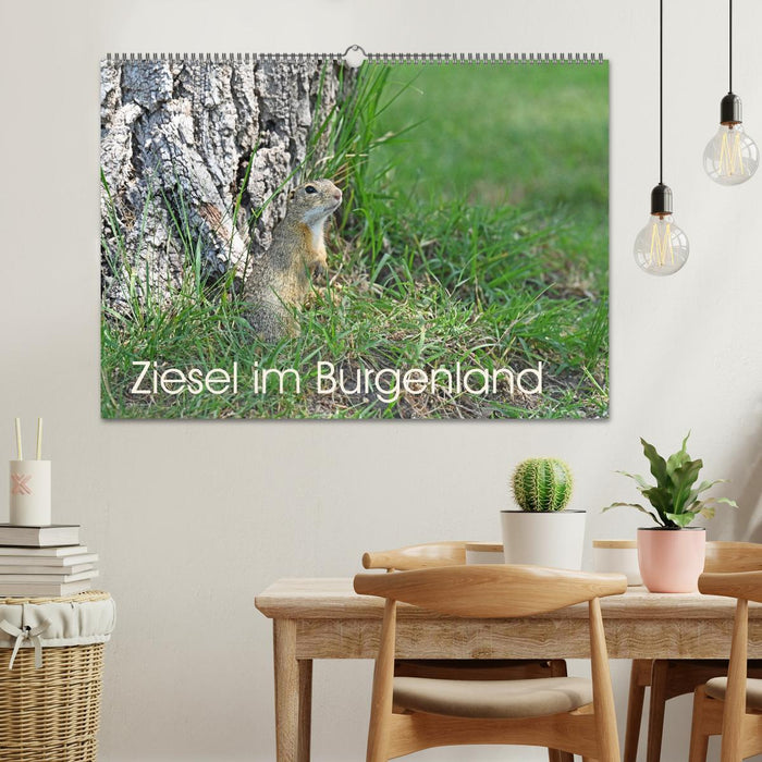 Ziesel im Burgenland (CALVENDO Wandkalender 2026)
