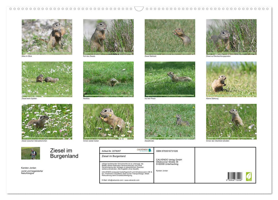 Ziesel im Burgenland (CALVENDO Wandkalender 2026)