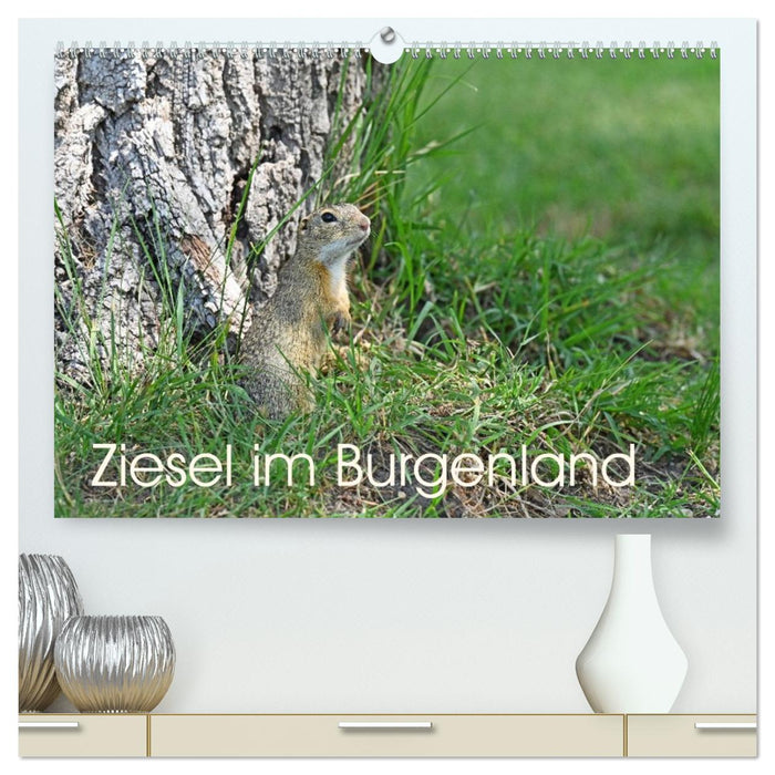 Ziesel im Burgenland (CALVENDO Premium Wandkalender 2026)