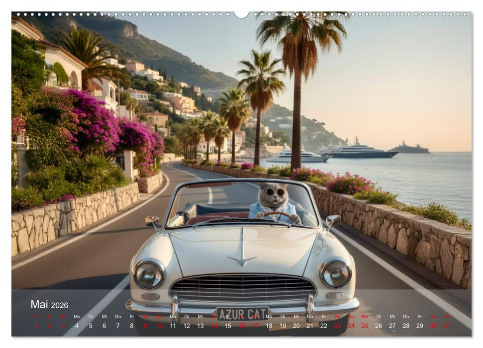 Der Graue Lord auf grosser Tour (CALVENDO Wandkalender 2026)