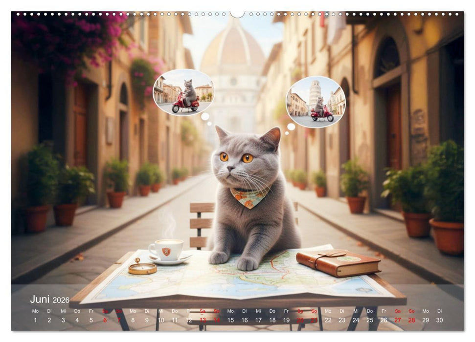 Der Graue Lord auf grosser Tour (CALVENDO Wandkalender 2026)