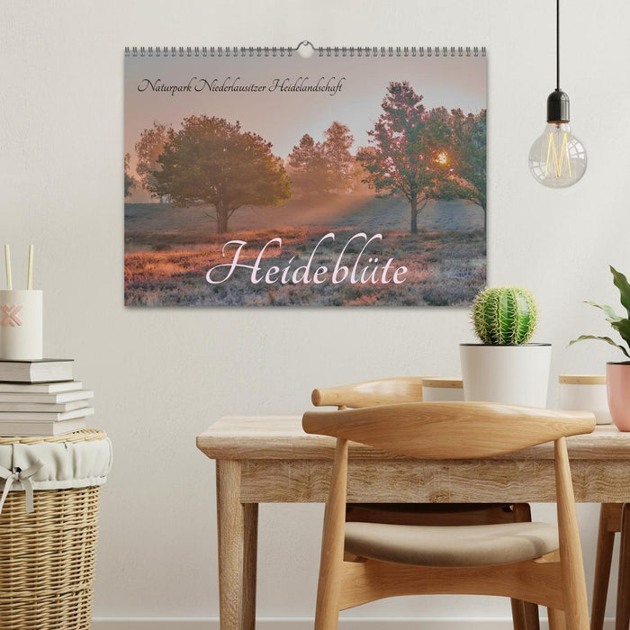 Naturpark Niederlausitzer Heidelandschaft - Heideblüte (CALVENDO Wandkalender 2026)