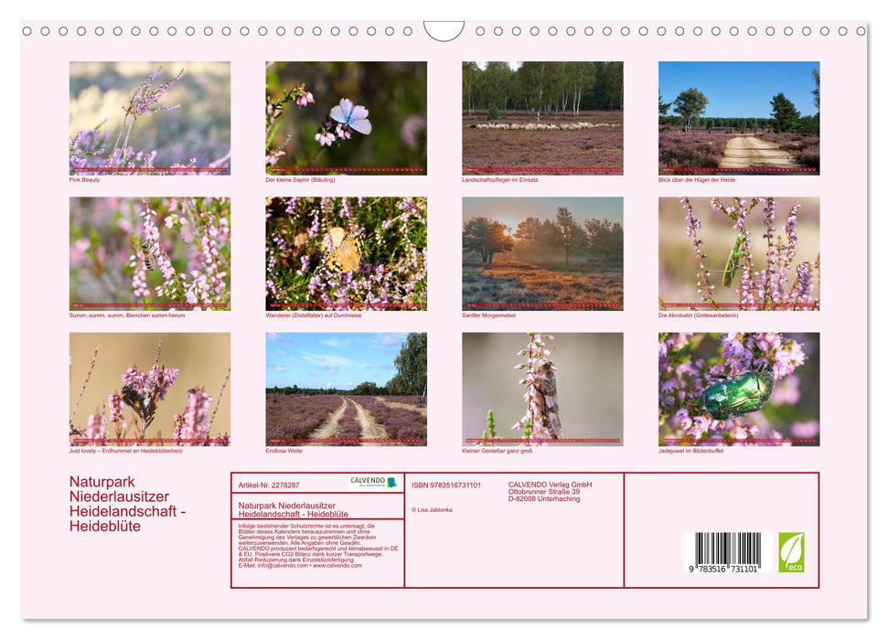 Naturpark Niederlausitzer Heidelandschaft - Heideblüte (CALVENDO Wandkalender 2026)