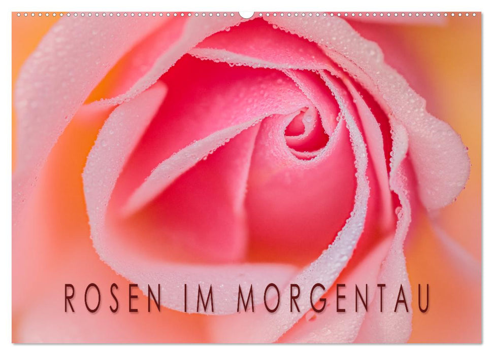 Rosen im Morgentau (CALVENDO Wandkalender 2026)