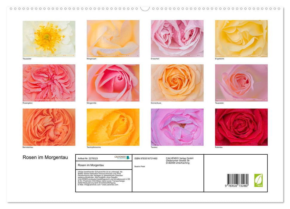 Rosen im Morgentau (CALVENDO Premium Wandkalender 2026)