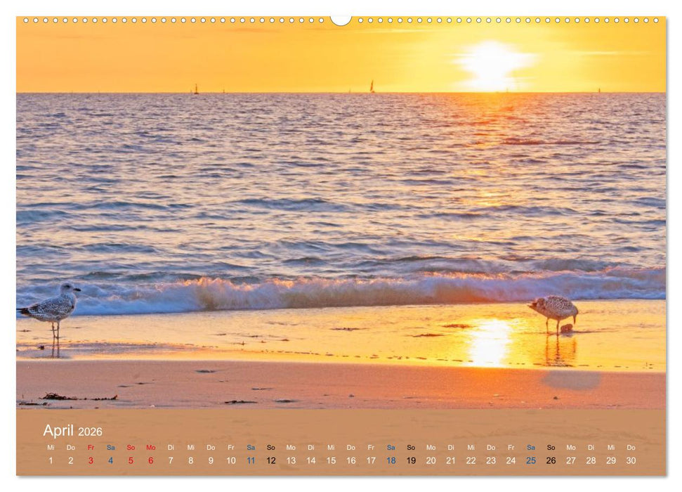 Die Bretagne - Sonne und das Meer (CALVENDO Wandkalender 2026)