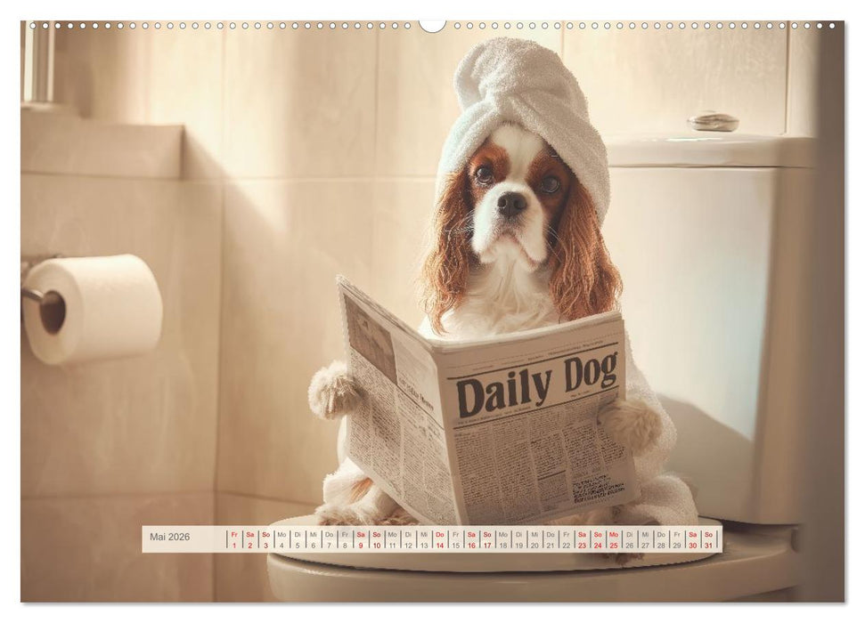 Cavalier King Charles Spaniel. Die lustigsten Cavalier Momente des Jahres. (CALVENDO Wandkalender 2026)