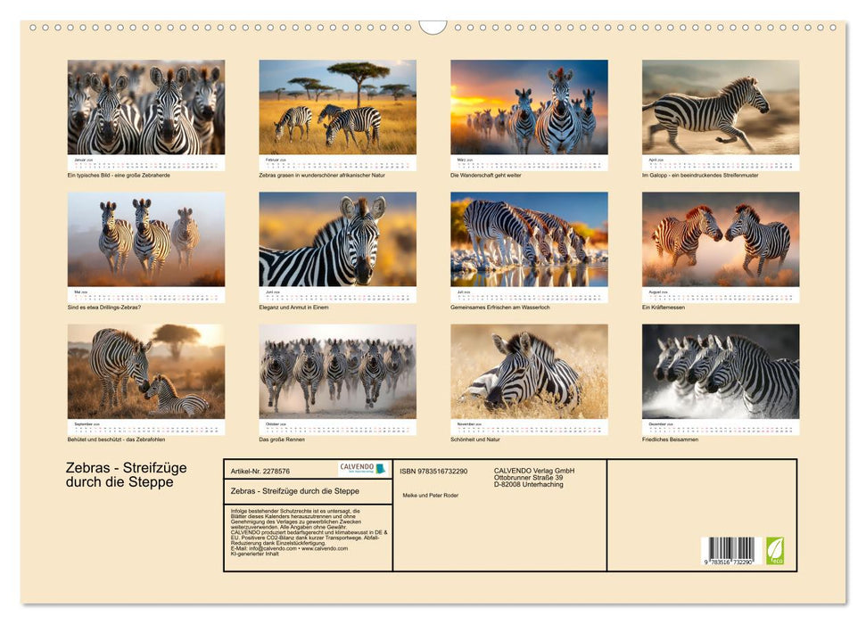 Zebras - Streifzüge durch die Steppe (CALVENDO Wandkalender 2026)